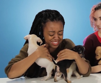 drunk-girls-puppies-buzzfeed