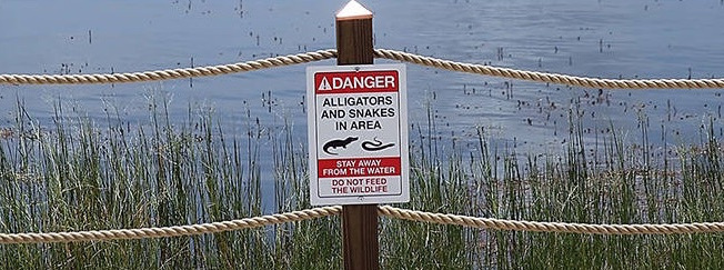 disney world alligator sign