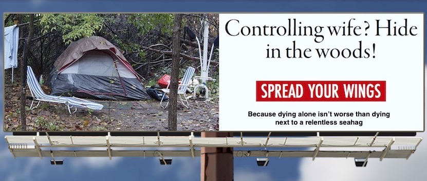 controlling wife billboard meme